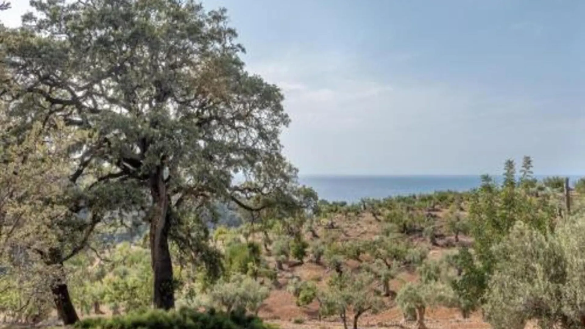 Countryside Villa With Outdoor Space Santa Eulària des Riu
