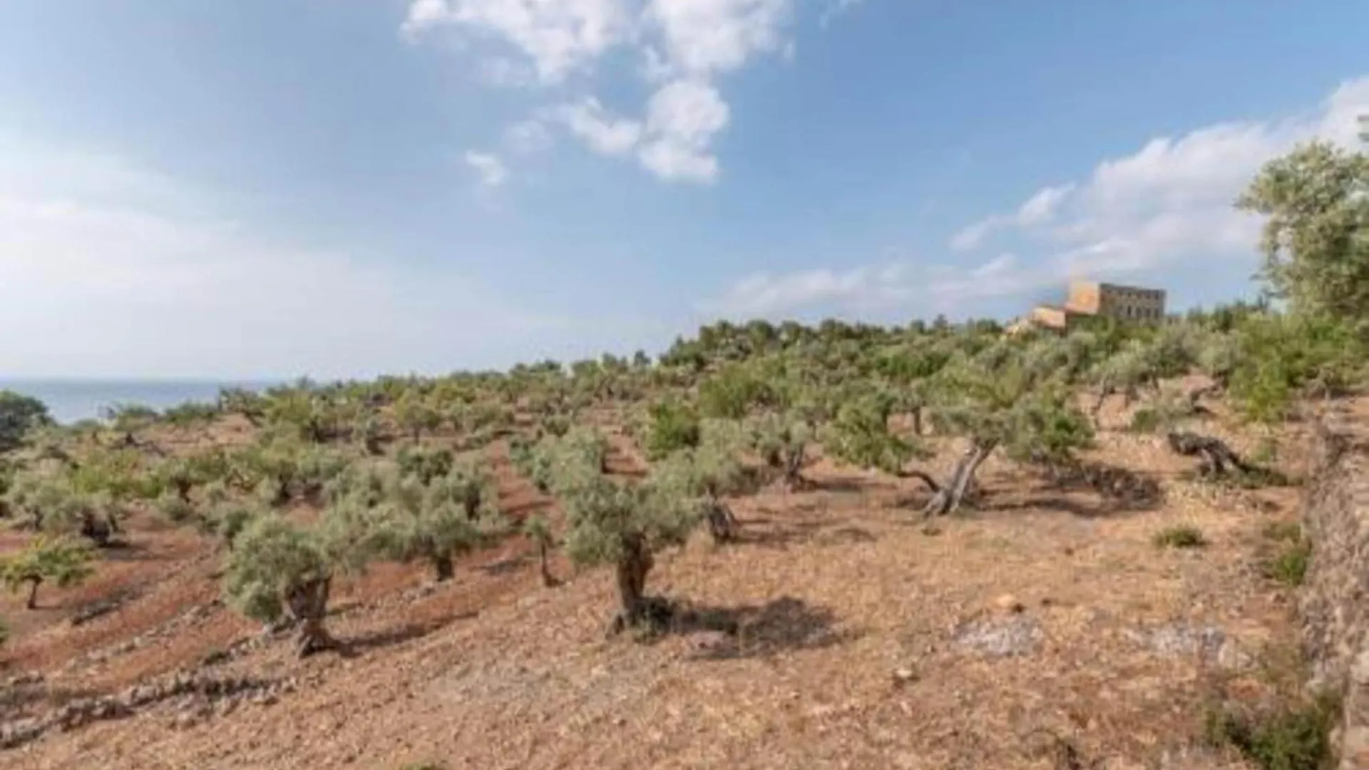 Countryside Villa With Outdoor Space Santa Eularia des Riu